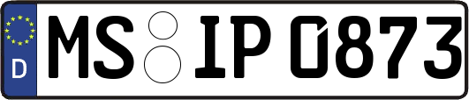 MS-IP0873