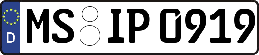 MS-IP0919