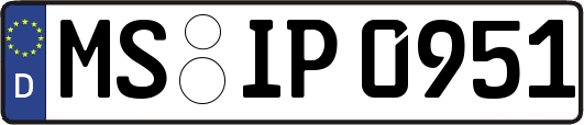 MS-IP0951