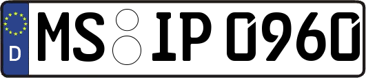 MS-IP0960