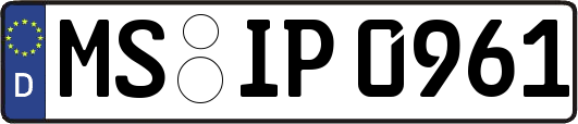 MS-IP0961