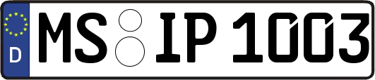 MS-IP1003