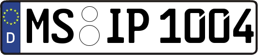MS-IP1004