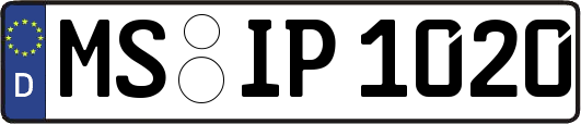 MS-IP1020