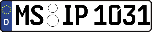 MS-IP1031