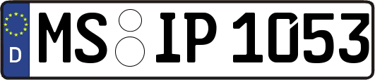 MS-IP1053