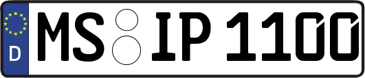 MS-IP1100