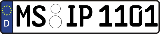MS-IP1101