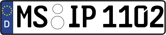 MS-IP1102