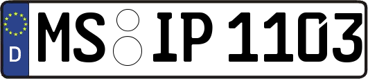 MS-IP1103
