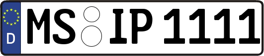 MS-IP1111