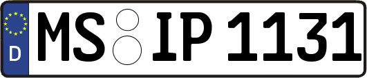 MS-IP1131