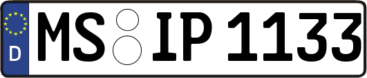 MS-IP1133