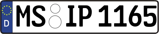MS-IP1165