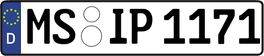 MS-IP1171