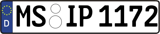 MS-IP1172