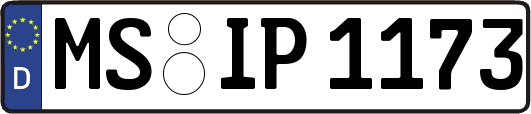 MS-IP1173