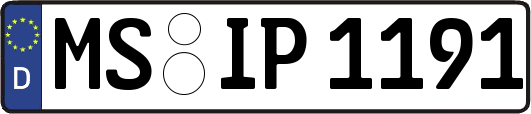 MS-IP1191