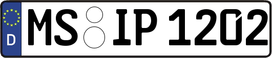 MS-IP1202