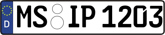 MS-IP1203