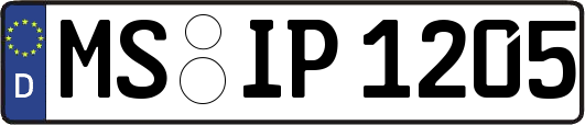 MS-IP1205