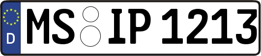 MS-IP1213