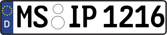 MS-IP1216
