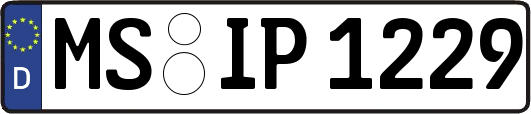 MS-IP1229