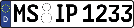 MS-IP1233
