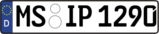 MS-IP1290
