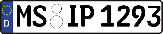 MS-IP1293