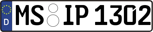 MS-IP1302