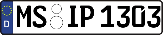 MS-IP1303