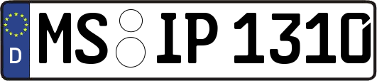 MS-IP1310