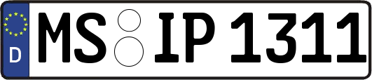 MS-IP1311