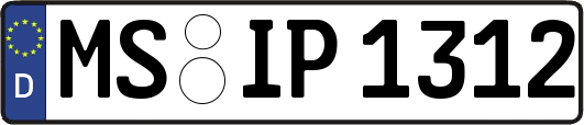 MS-IP1312