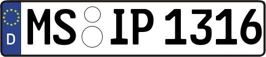 MS-IP1316