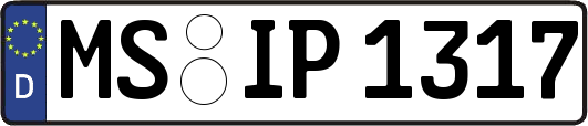 MS-IP1317