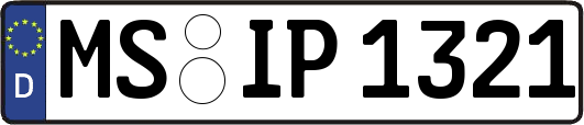 MS-IP1321