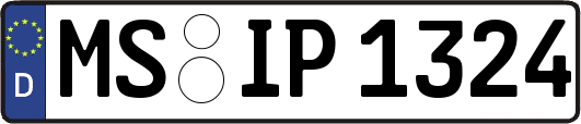 MS-IP1324