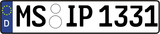 MS-IP1331