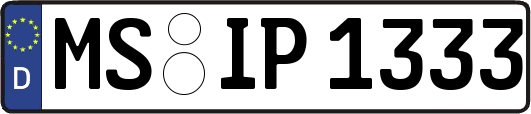 MS-IP1333