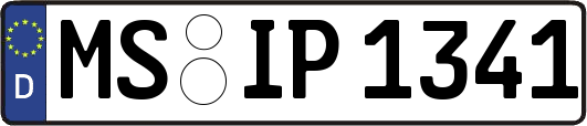 MS-IP1341