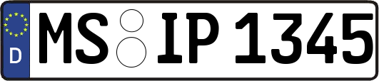 MS-IP1345