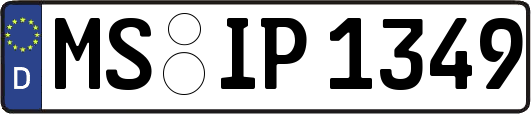MS-IP1349