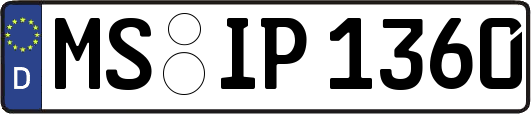 MS-IP1360