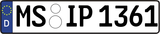 MS-IP1361