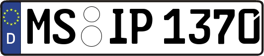 MS-IP1370