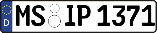 MS-IP1371