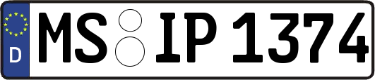 MS-IP1374
